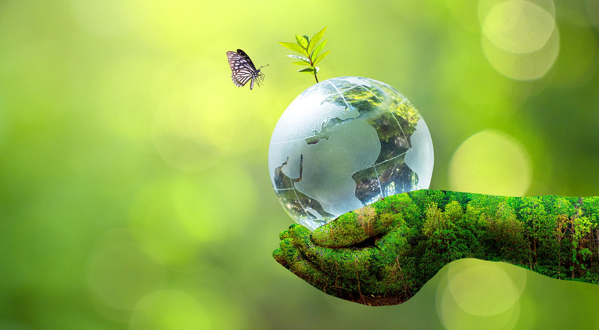 Mão coberta de musgo segurando uma esfera de vidro representando a Terra, com uma planta jovem e uma borboleta pousada, sobre um fundo desfocado com tons de verde que sugere um ambiente natural e vibrante.