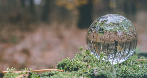 Esfera de cristal translúcido repousando sobre um leito de musgo, refletindo uma paisagem florestal invertida, com destaque para as texturas naturais em um cenário outonal.