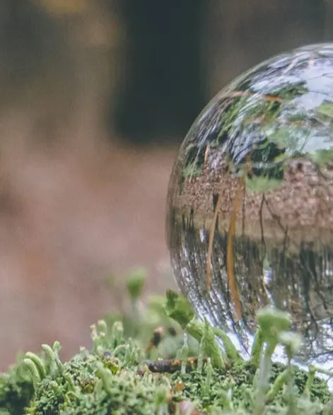 Esfera de vidro transparente repousando sobre musgo verde, refletindo uma floresta invertida em seu interior, com o fundo suavemente desfocado.