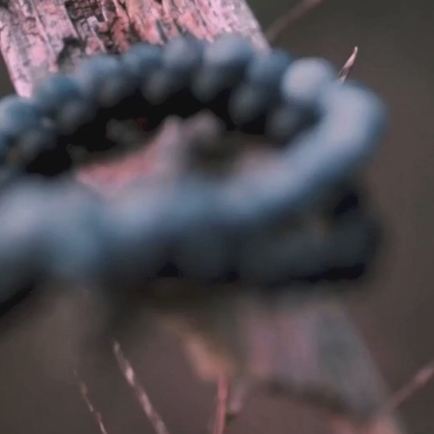 Vídeo demonstrativo da pulseira de pedras naturais sobre um tronco de árvore
